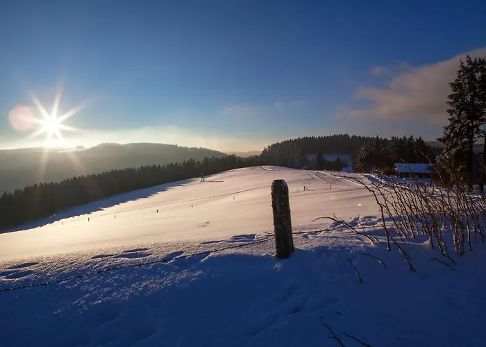 Sauerland-Häuschen Kleine Auszeit